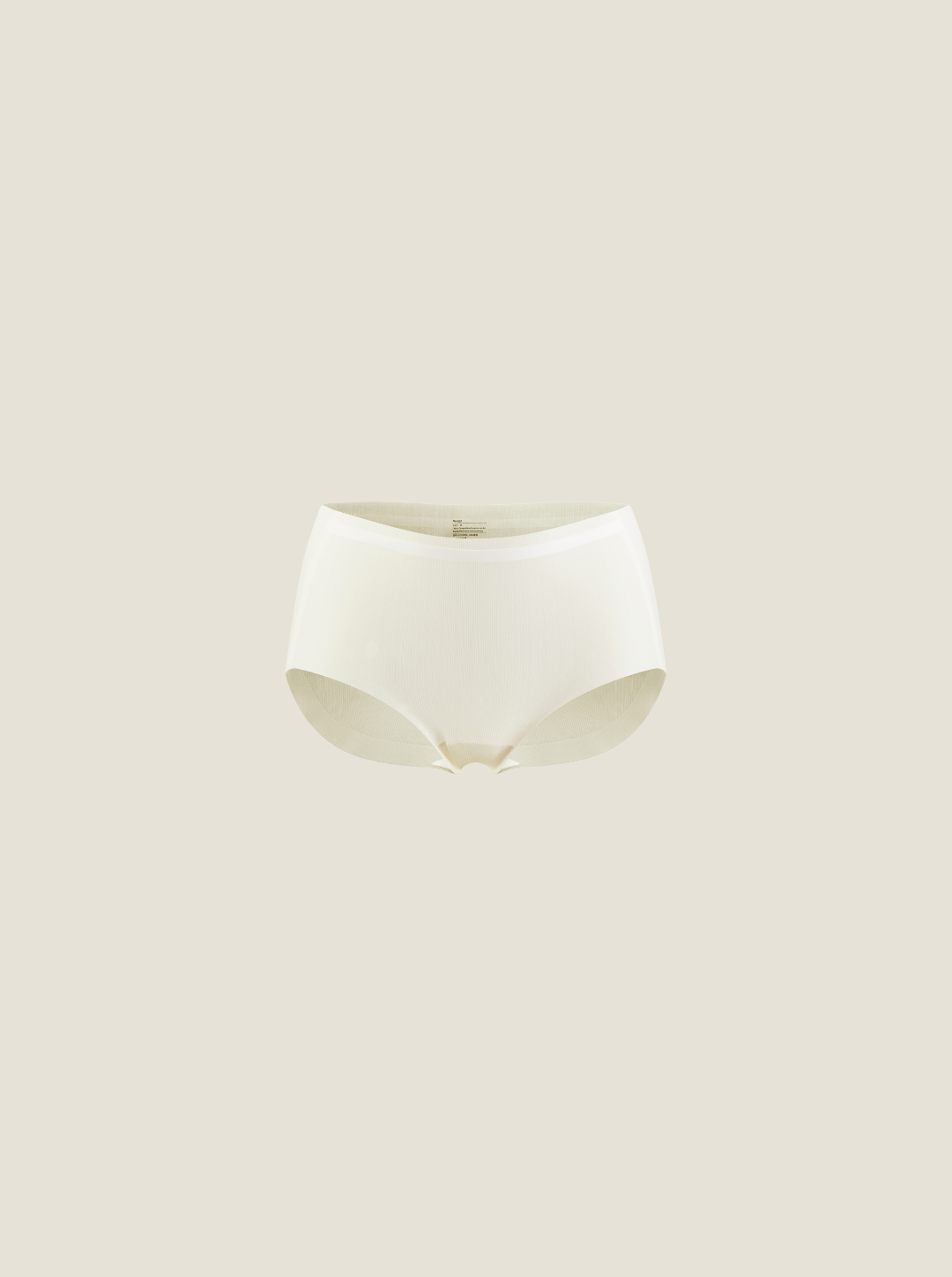 NuAir Mesh Flex Brief Women's Underwear