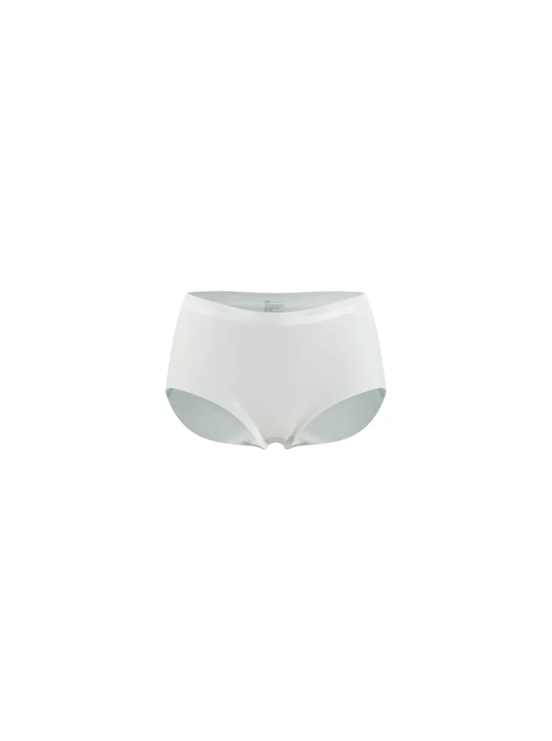 NuAir Mesh Raw Brief Women's Underwear